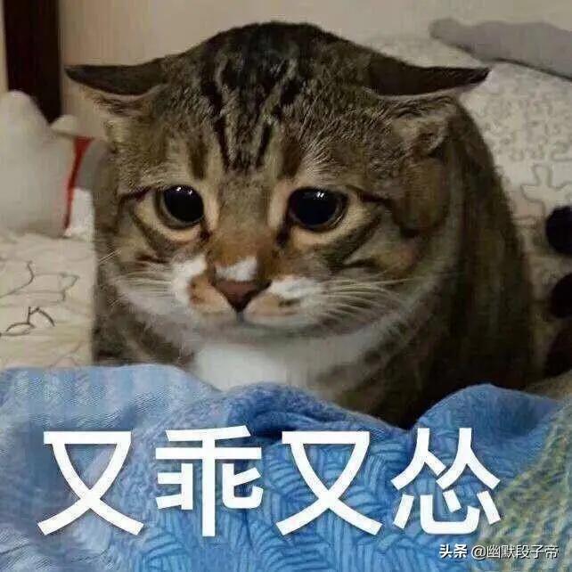 迈锐宝xl-各位老铁帮忙斟酌一下xl锐连版本，首付四万开回家，年利率3.03%，这个价格怎么样