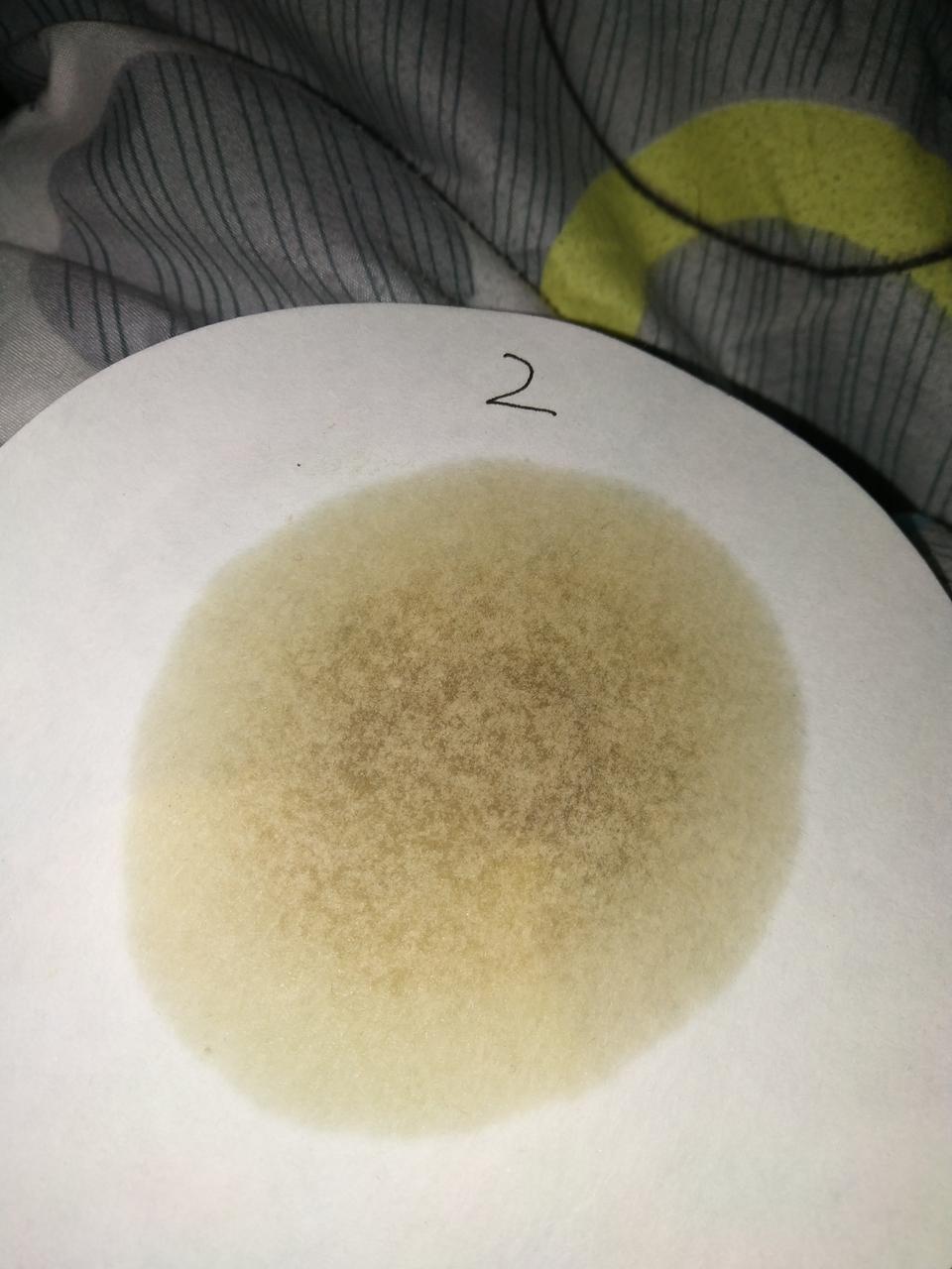 迈锐宝xl-请问各位师傅，我这个机油还能用吗？全合成机油，用了快一年了，平时车都没怎么开，保养后开了5000公里，