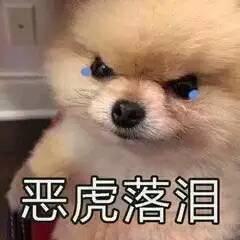 奔驰c级-你们发动机声音大吗？为什么我发动机已启动就大的很，而且提速上去就不知道是风噪还是什么声音特大，唔唔的那种声音。