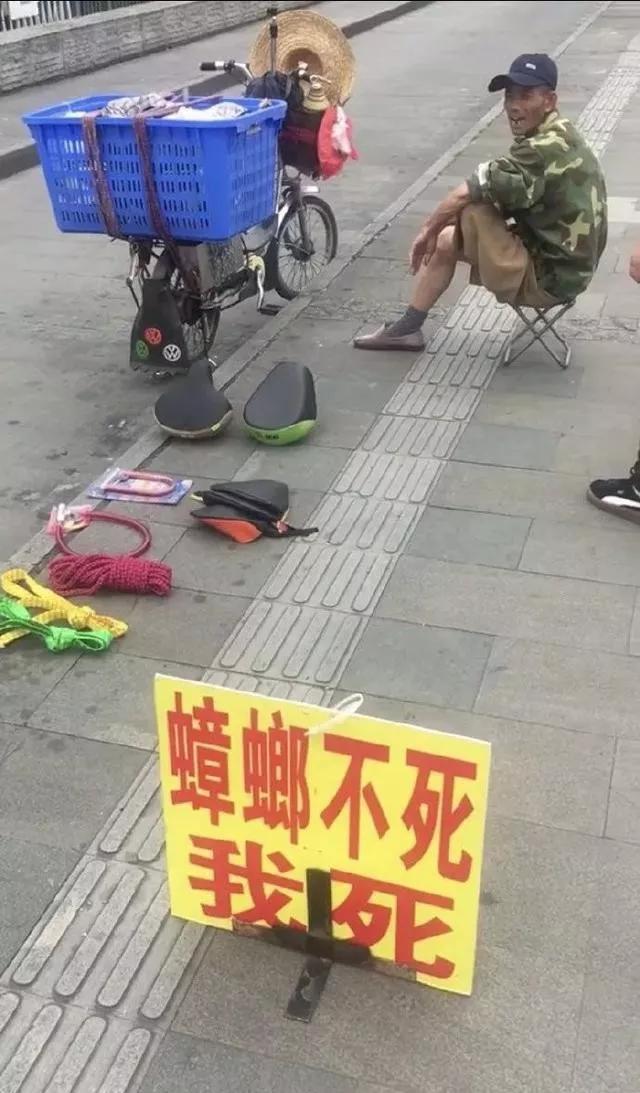 奥迪a3-19进取3箱，17.3w，倒车影像，3次保养，这价格可以吗