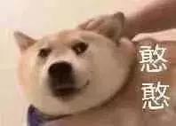 阿特兹-20款的有DVD口吗