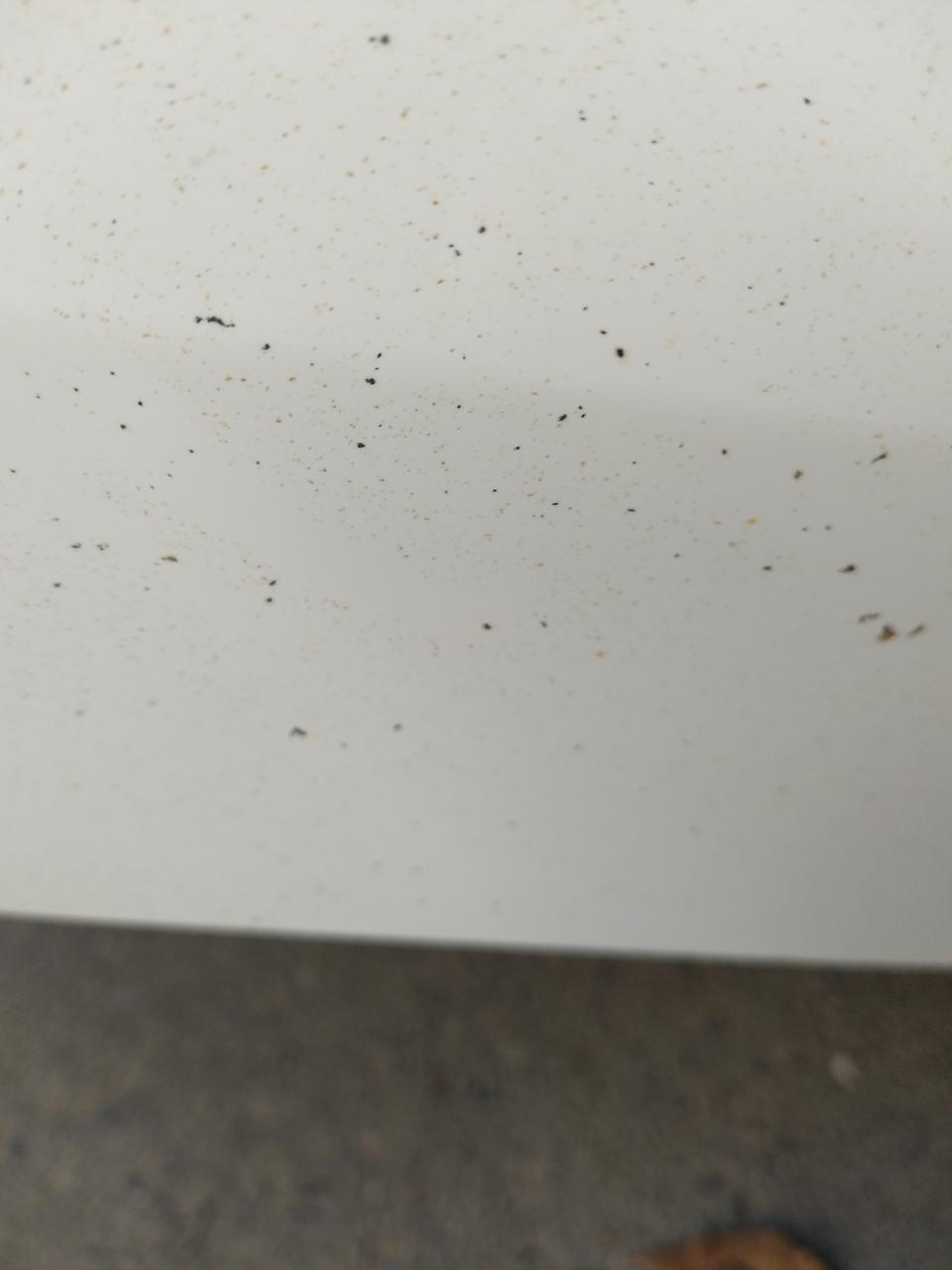 凯迪拉克ats-l-咨询一下，车子这里好多那个板油怎么清洗？