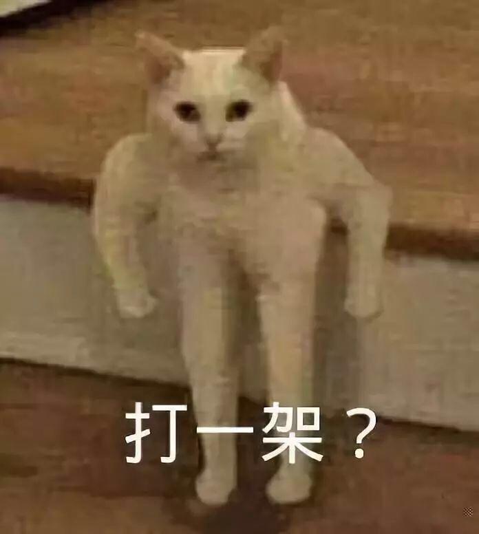 凯迪拉克ats-l-洗车是什么，哈哈哈，谁来挑战