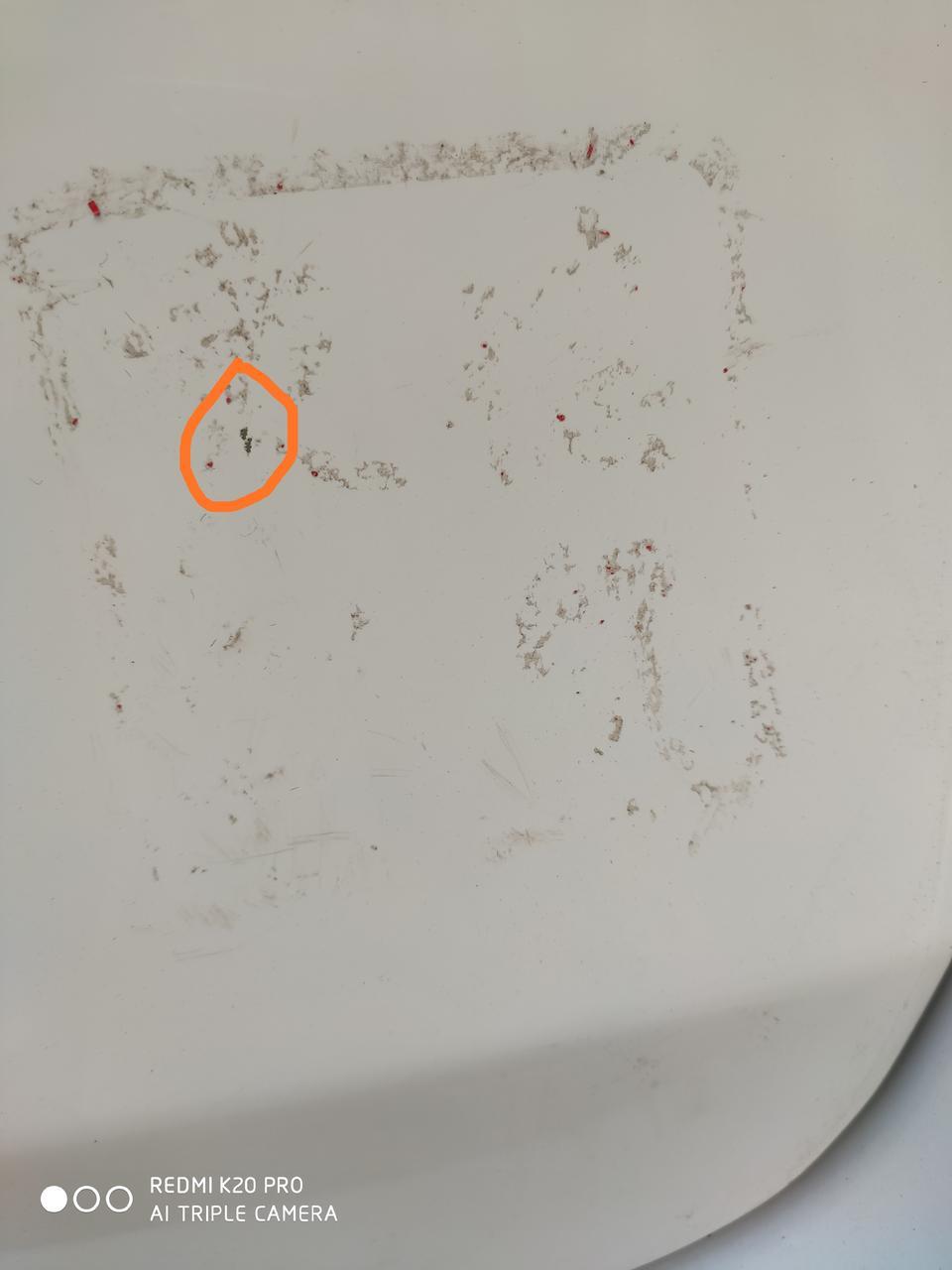 19款白色英朗后箱盖划掉一个小点，黑色的，是不是底漆，用不用管，会生锈吗，还有就是自己按那个窗边不锈钢边饰条贴的有点靠前，上边窗蹭破了，把磨砂塑料面也蹭起来点，需不需要管，就不大点，但是提车才一个月有点担心，怕生锈，会生锈吗，新手小白啥都不懂，要是补漆的话，就这么一小点去4s店大概花多少钱呢