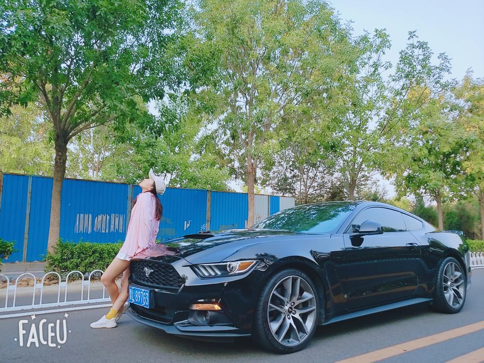 mustang-野马中规2.3t15年7月买的话当时价值多少钱呢？