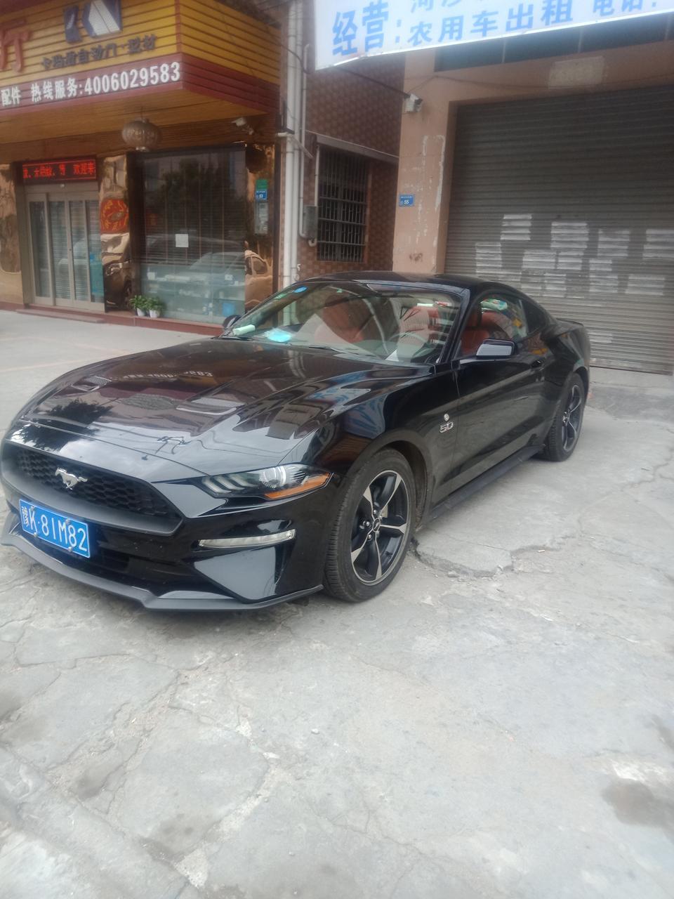 mustang-这是什么车