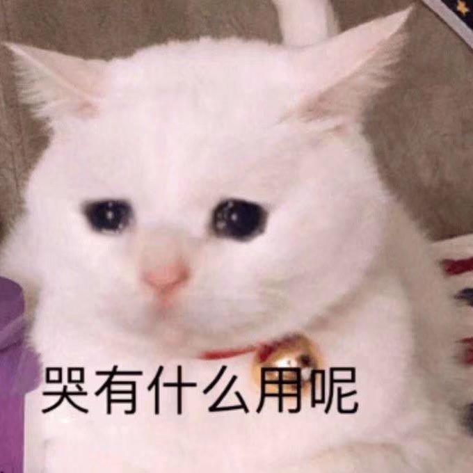 mustang-小白一个最近刚拿到驾照想问一下大佬们野马怎么选合适，求大神指导