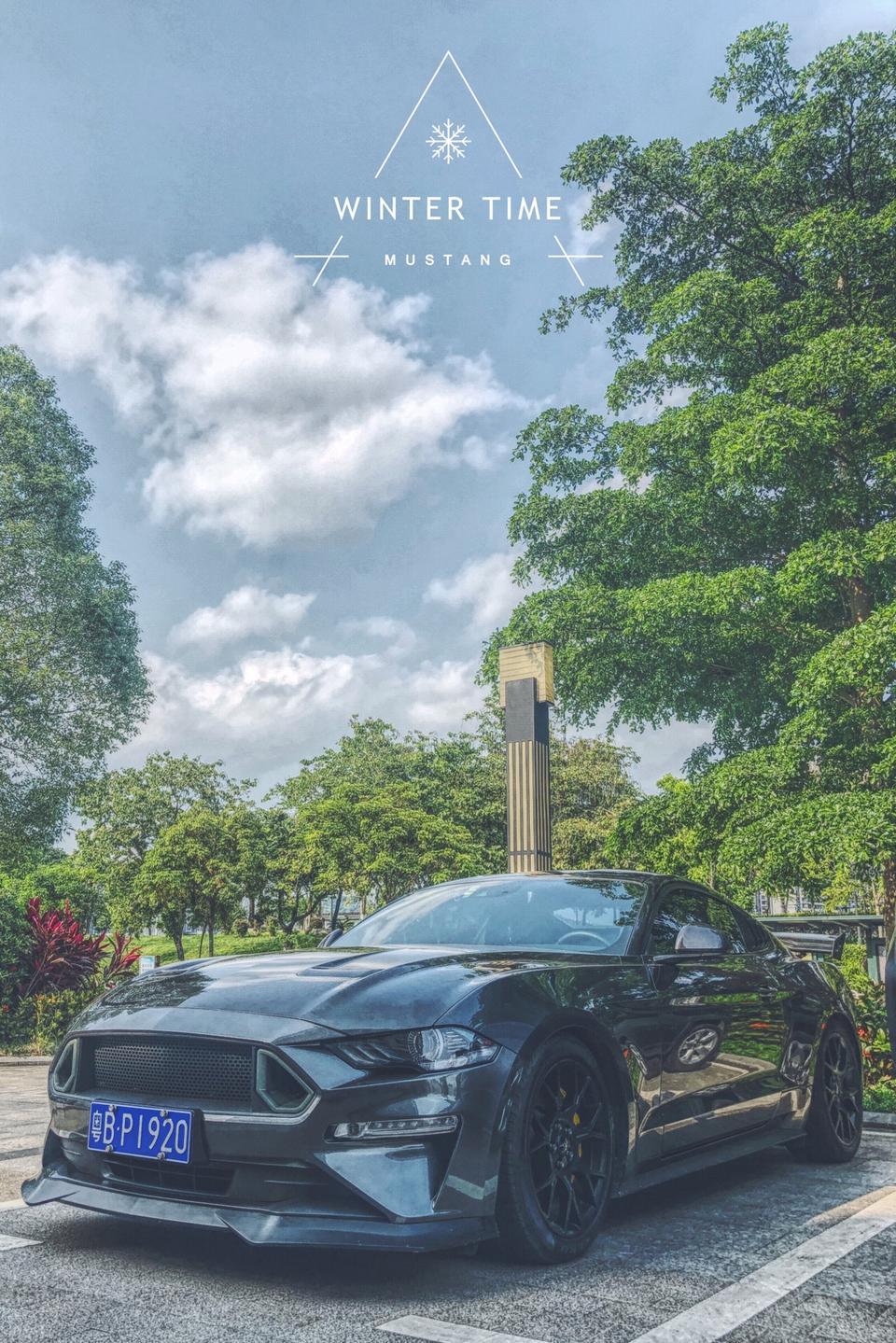 mustang-18中规野马怎么更新地图和系统？