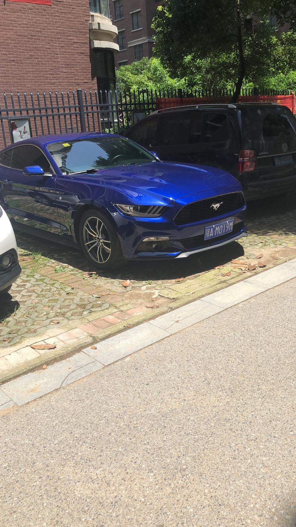 mustang-有黄冈，鄂州，武汉黄石的野马车队吗？我想跟着队伍走