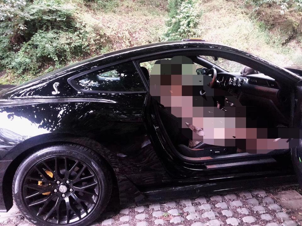 mustang-这是野马什么型号？
