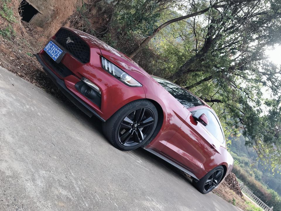 mustang-转弯有时候打死方向盘 会有异响 抖动是怎么回事