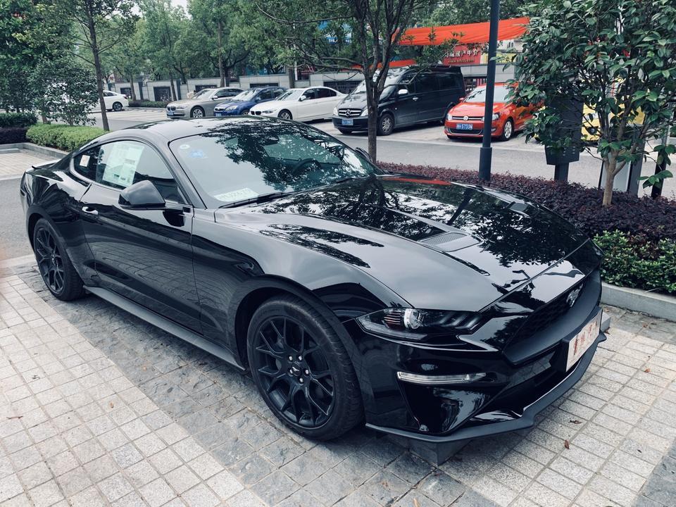 mustang-换个前嘴，要多少钱