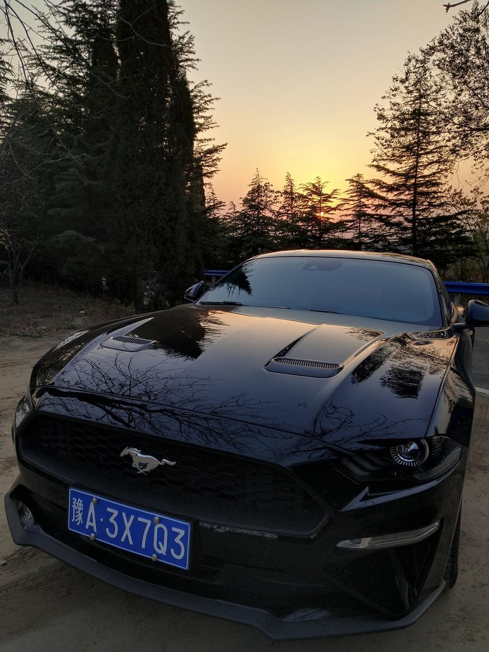 mustang-中规   19款    800公里一个月   电瓶不存电  4儿子说要充电维修记录  然后厂家换新   从国外发电瓶   等一个星期左右   有车友电瓶出问题的没？  这种现象正常吗？