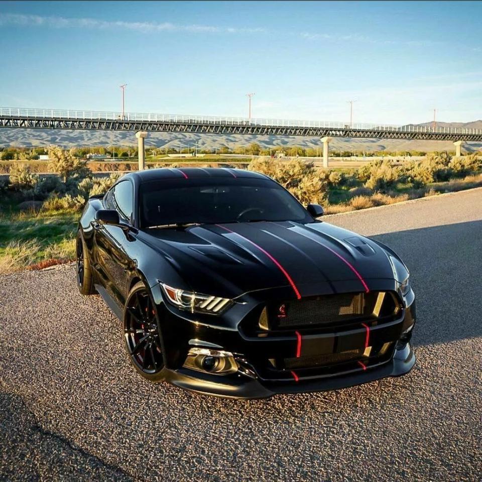 Mustang和二系敞篷都很喜欢，但是实力咱不允许买两辆，一直在这两者之间考虑，我的要求就是开在路上比较吸睛拉风的那种，希望大家给我提个建议，谢谢！