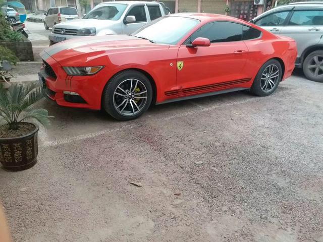 mustang-这款车什么价位？