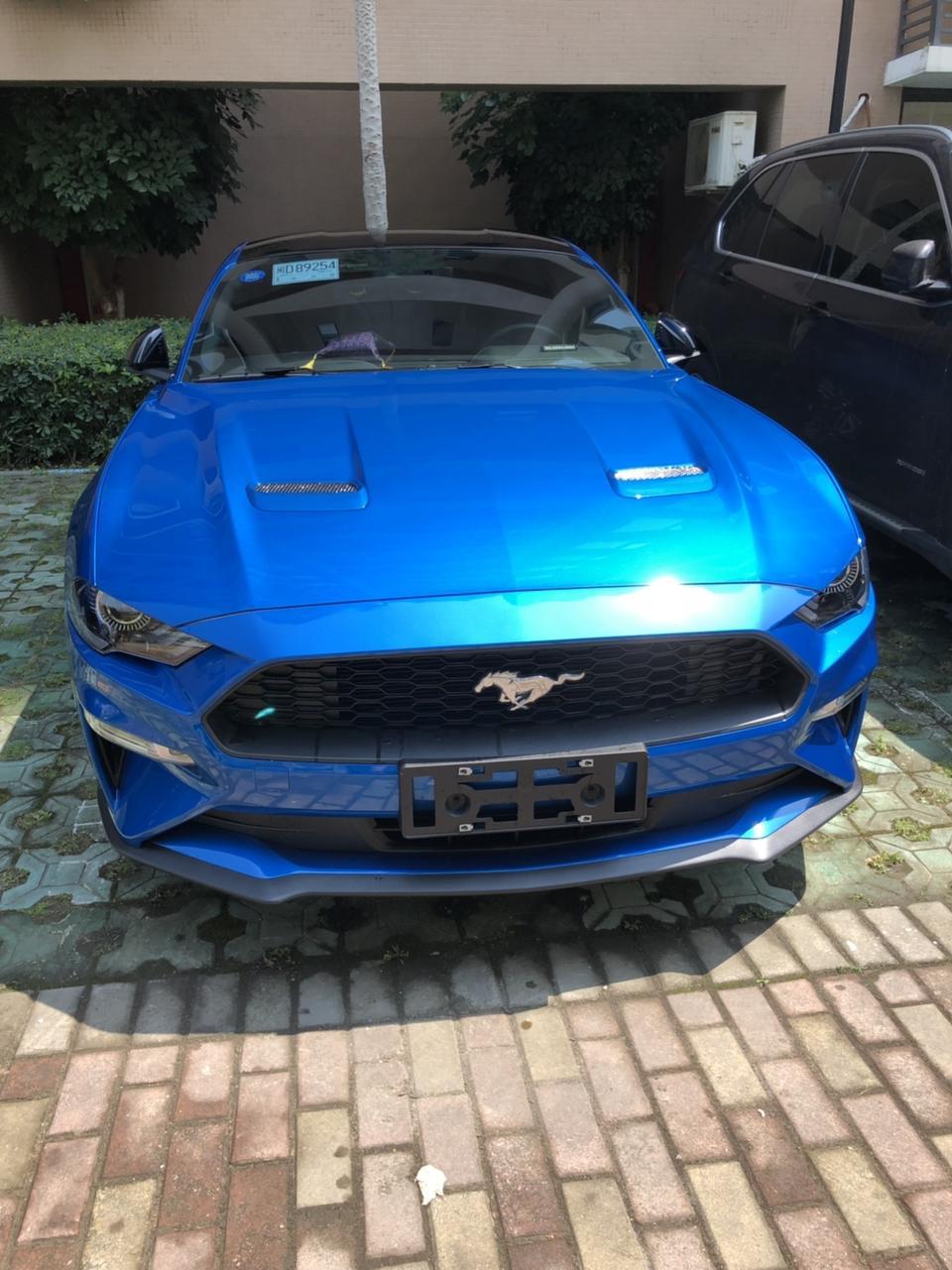 mustang-19款野马，想请问前辈，过了磨合期要不要更换后桥油，有的说磨合后会有铁屑，需要更换，换油还要加防磨膏什么的，不是很明白，想请大神们指点一下，准备磨合过后好好弄一下