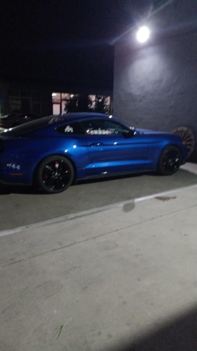 mustang-大家什么车看看这是什么车