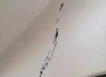 本田xr-v-新车马上三个月啦，被人在小区刮了一下，很是心疼。4s店说可以免费修复，前杠需要全喷，担心过不了多久就会有色差，补漆笔，怕弄不好，很是矛盾。有朋友帮忙出下注意，或者推荐一下差不多颜色的补漆笔，谢谢