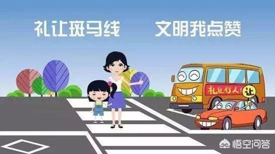 雷凌-你认为斑马线上礼让行人是否符合国情吗