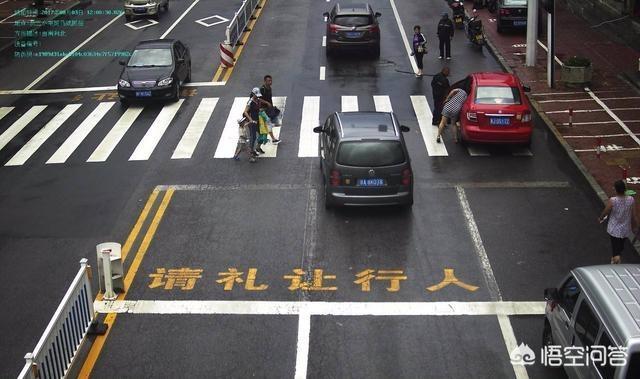 雷凌-你认为斑马线上礼让行人是否符合国情吗