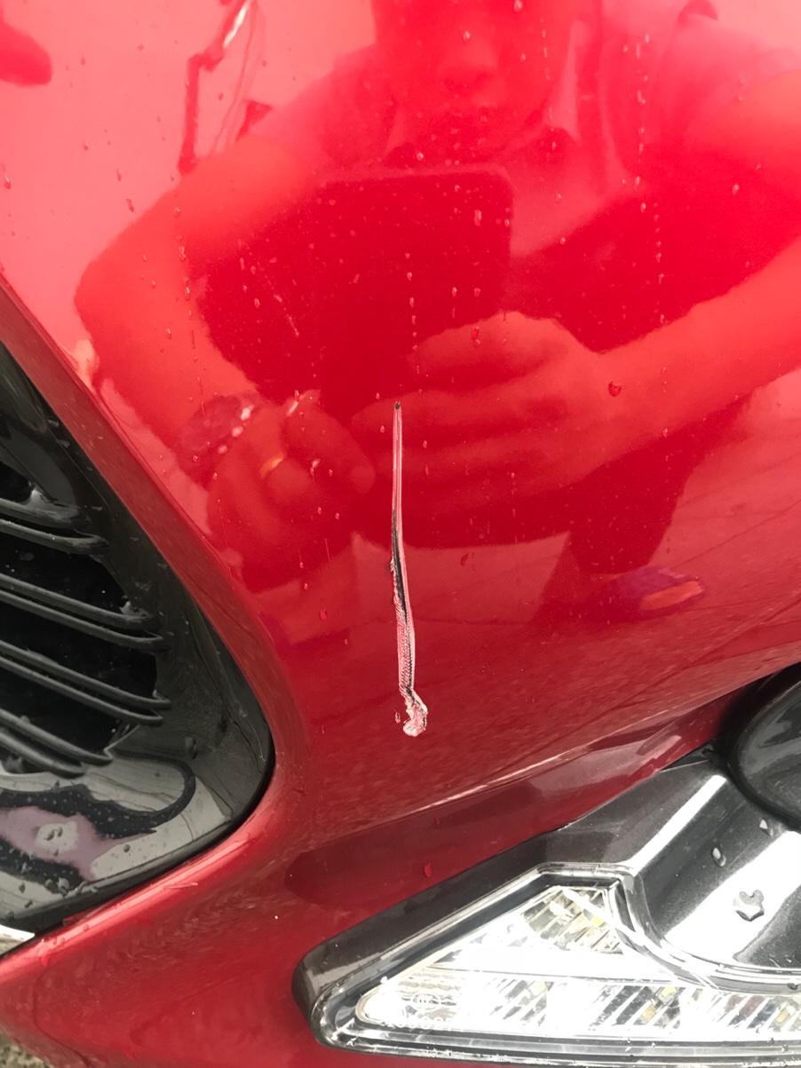 雷凌-台风过后掉下来的，请问修好要多少钱？