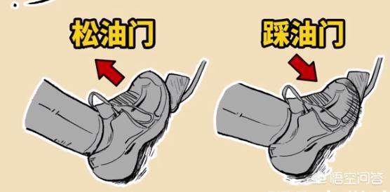 雷凌-实习期上高速出事故后，保险公司会赔偿吗？