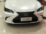 雷克萨斯es-刚刚听网上说E S 300H,悬挂软硬能调，求各位大神赐教