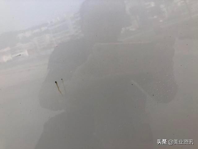 才开3万多公里，普拉多才购买两年多的车，车漆薄如保鲜膜，三年不到的家用车就变成了许多黑花点，貌是自然生锈了，好歹也是四五十万的车呐，大家帮我看看这是什么回事呢？每次洗车都一肚子气