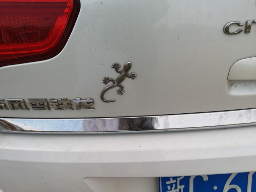 普拉多-贴个璧虎真能避邪吗？