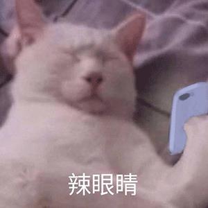 哈弗f7-准备入手f7 各位车友 我想知道20款和19款 的范 有什么区别？ 要是买1.5的潮（潮是1.5高配吧 该有的都有了） 有没有必要加几千买2.0的范