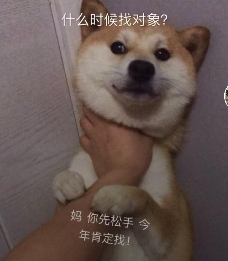 君越-成都19尊贵落地大概在需要个W