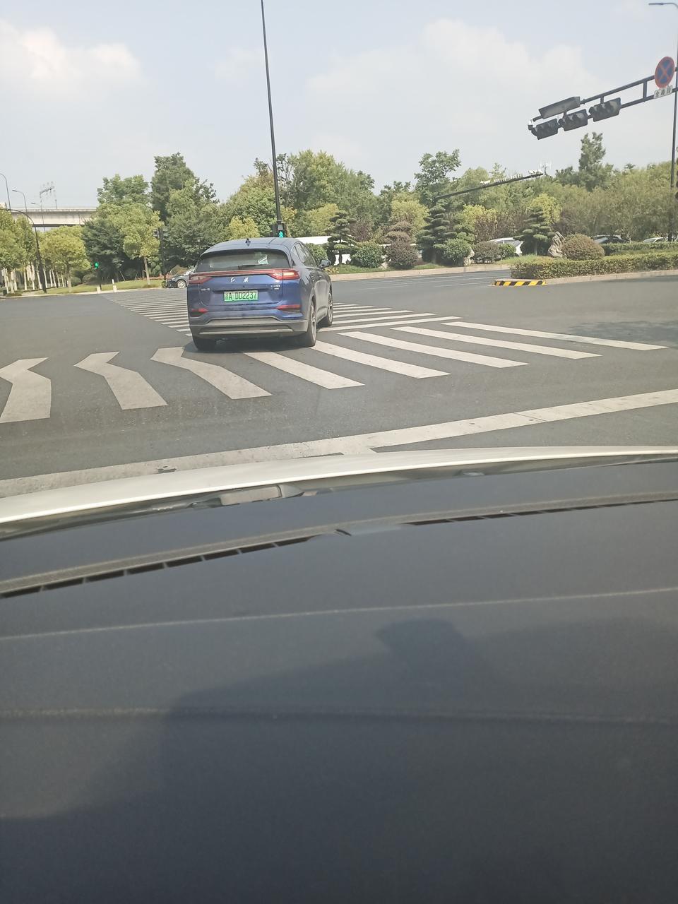 红旗hs5-不是没上是吗？路上怎么有了