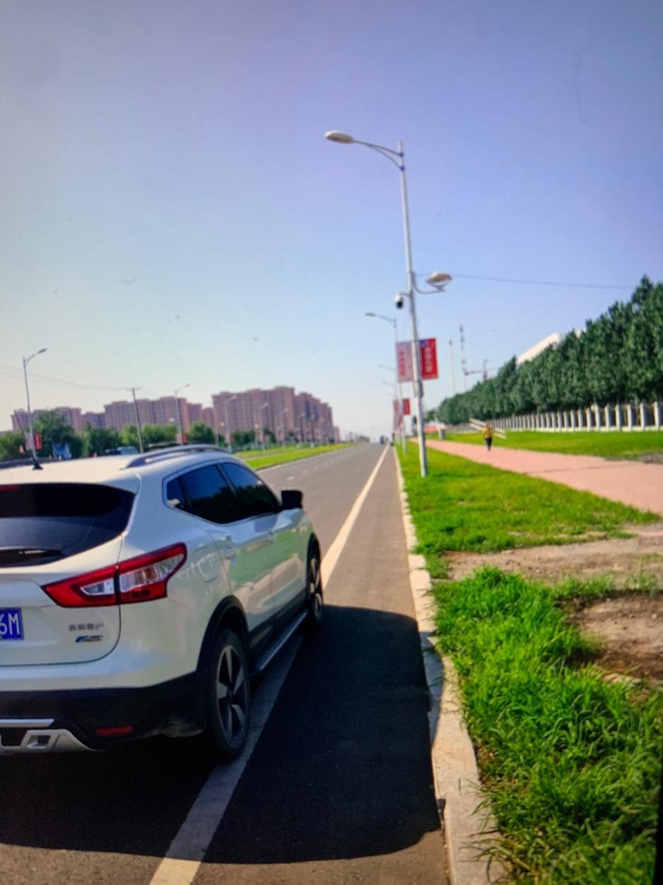 我车是逍客2016豪华款，当时白色加了2000钱当时对于颜色，我考虑白色耐脏，在高速上也醒目，如果将来出手，颜色也不错，我朋友当时援款琥珀金，没有现车，等车到了，感觉非常高档，不亚于我的小白
