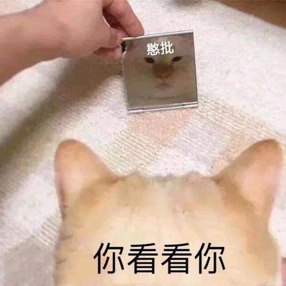 刚毕业想买个手动挡的飞度改改外观开开，车友们感觉怎么样？
但是现在买飞度还能买得到吗？还能上牌照嘛?怕之后出国六版本会改三缸车。人在郑州。广大车友能解答一下吗？