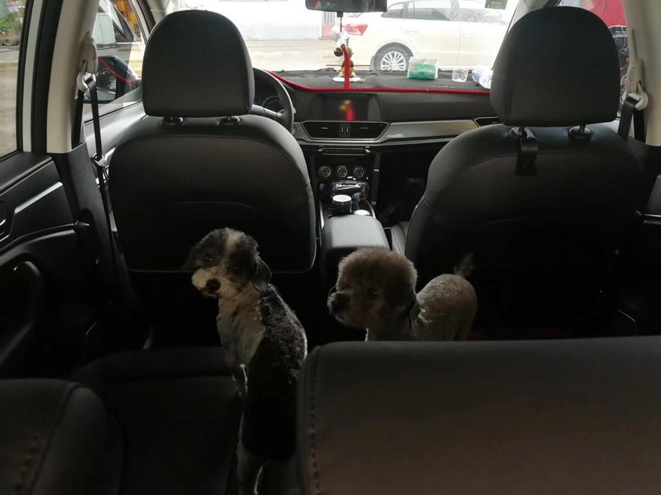 途昂-大家看看这是什么车？求高手。每日每日猜猜看！