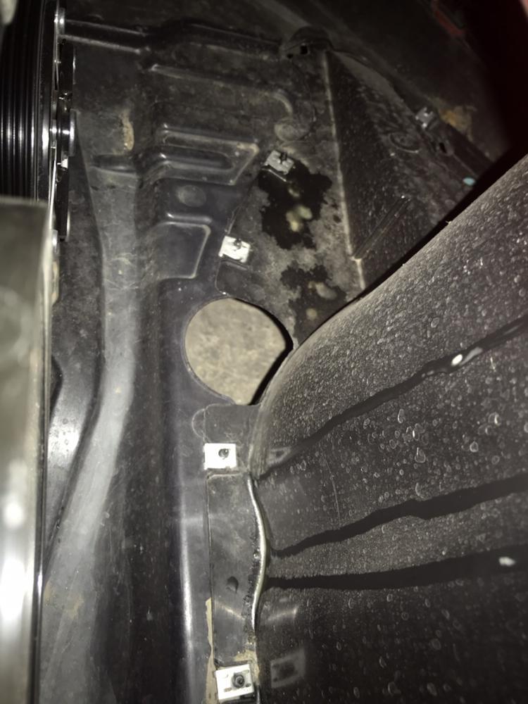 大众凌渡 右转助旁边 漏这个白色液体是什么啊感觉像猪油来着？ 是不是漏油了？