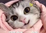 秦pro dm-比亚迪秦dm一直在混动模式下电池会掉电嘛？能续航多少公里？混动模式油耗多少？ 求大神回答！！！