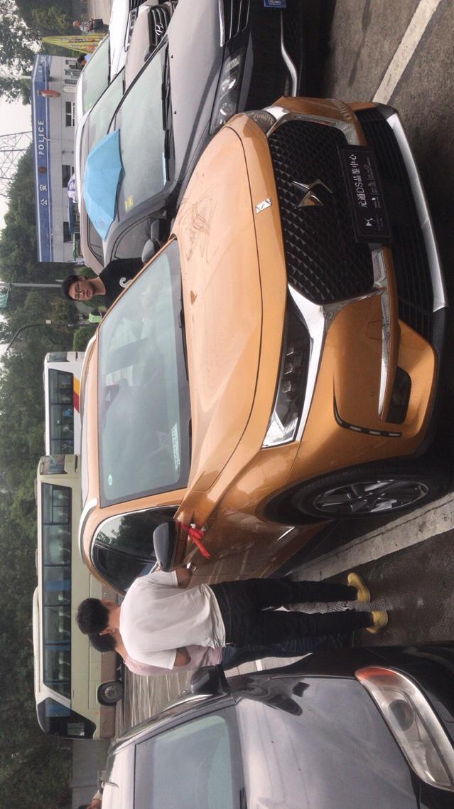 ds 7-终于把你娶回家了 友友们 漂亮吗