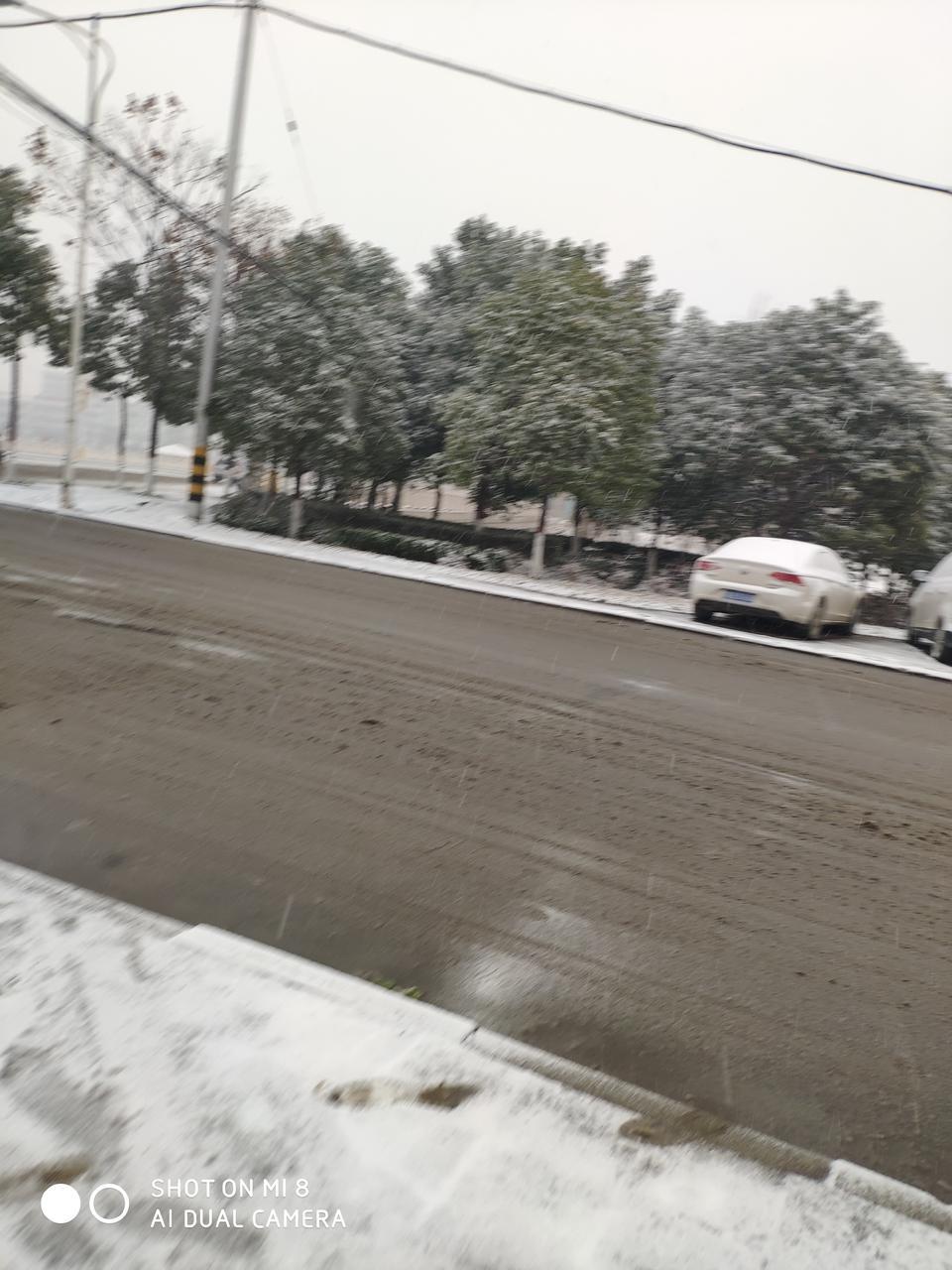 启辰t90-下雪了，那个车的雨刷一定要立起来吗