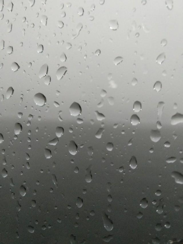 爱丽舍扛雨不？