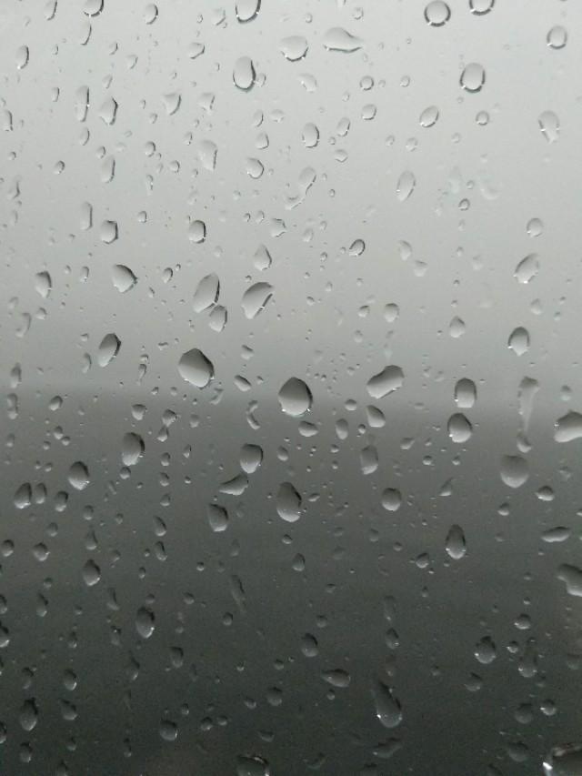 爱丽舍扛雨不？