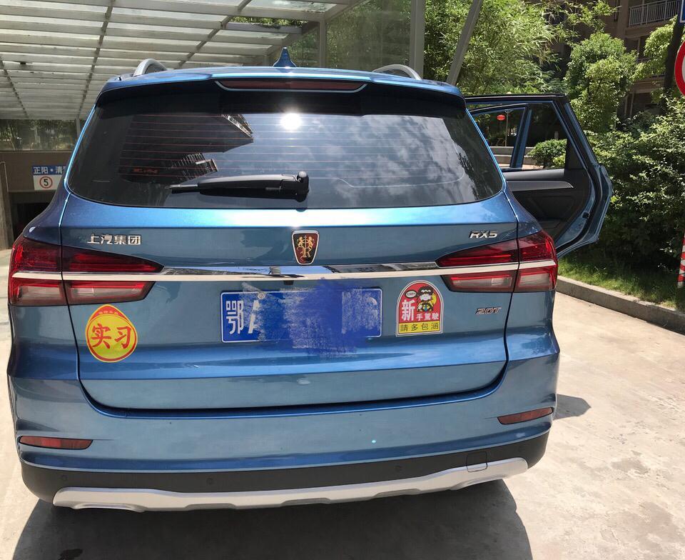 轩逸-上汽车买的人多吗