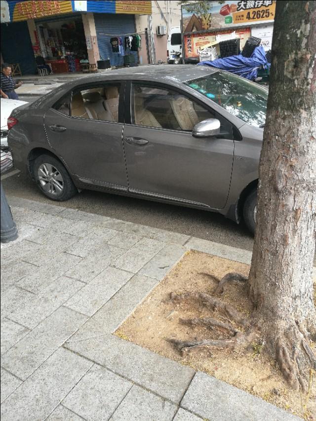 哪个马大哈的卡罗拉车主，停车忘关车窗了，不安全哦。