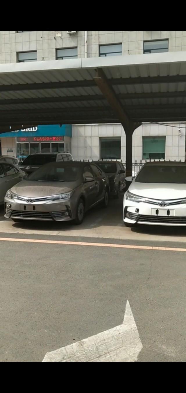 卡罗拉-白色和棕色卡卡哪个好看