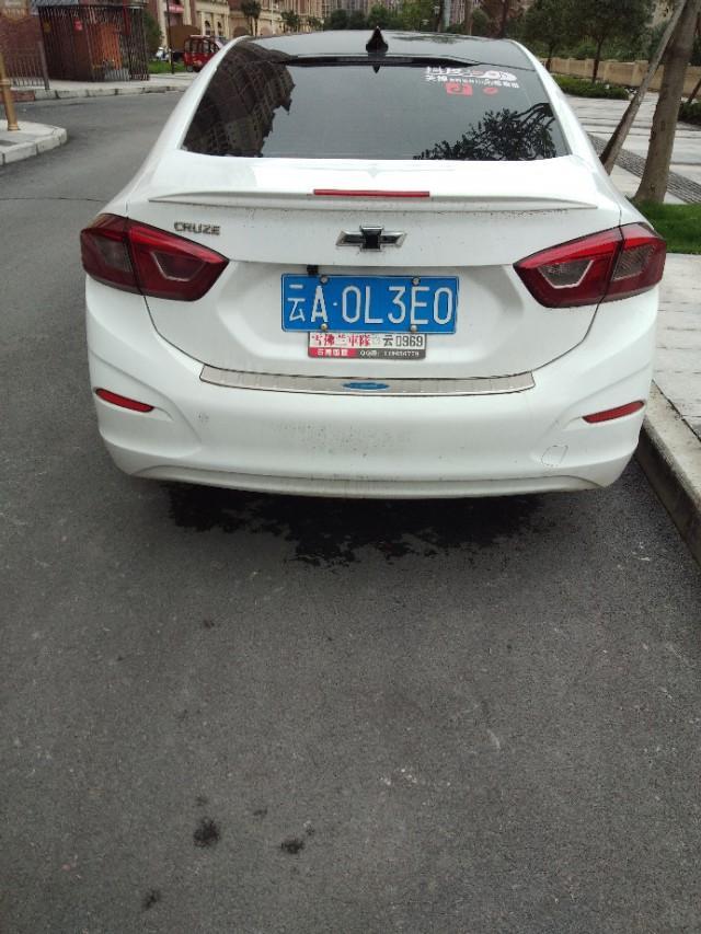 迈腾-白色的车标是不是很特别？你说呢？