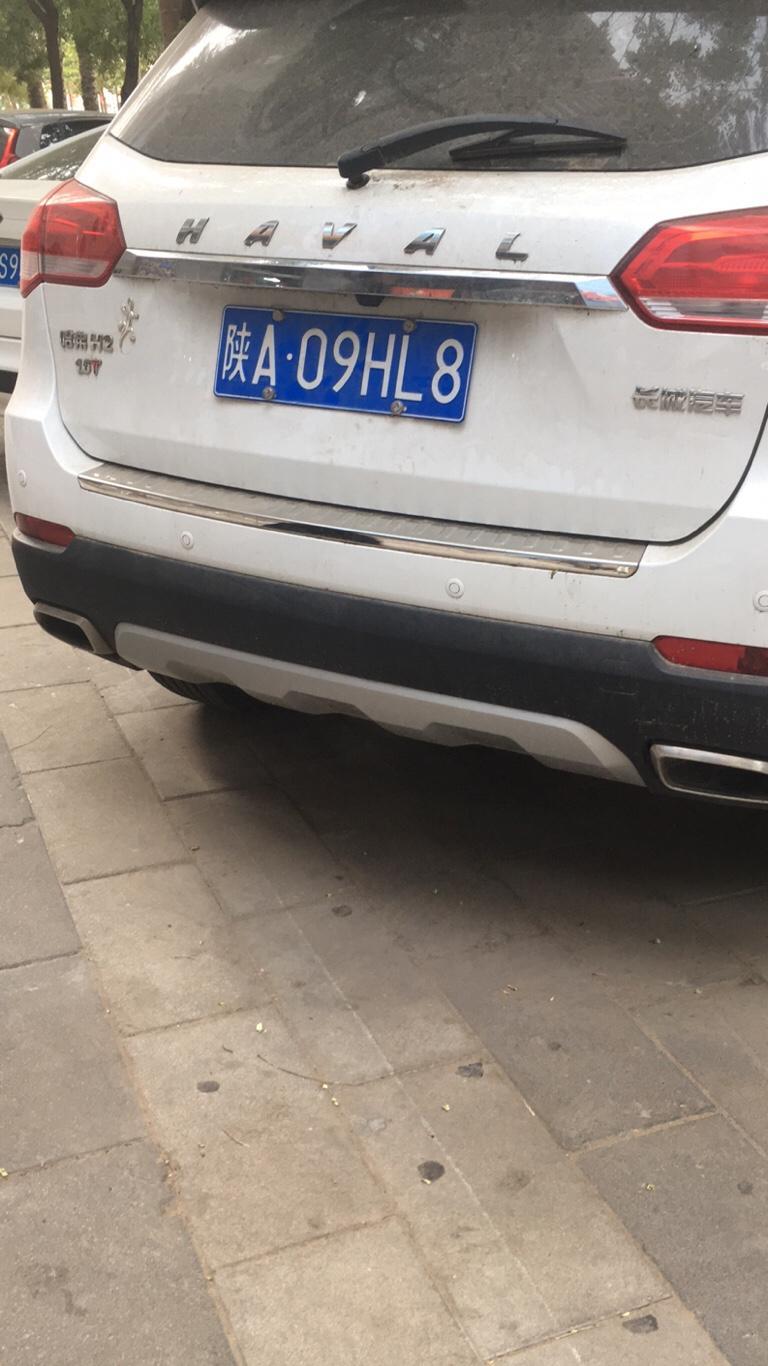 桑塔纳-双排气筒一般都是多大排量以上？