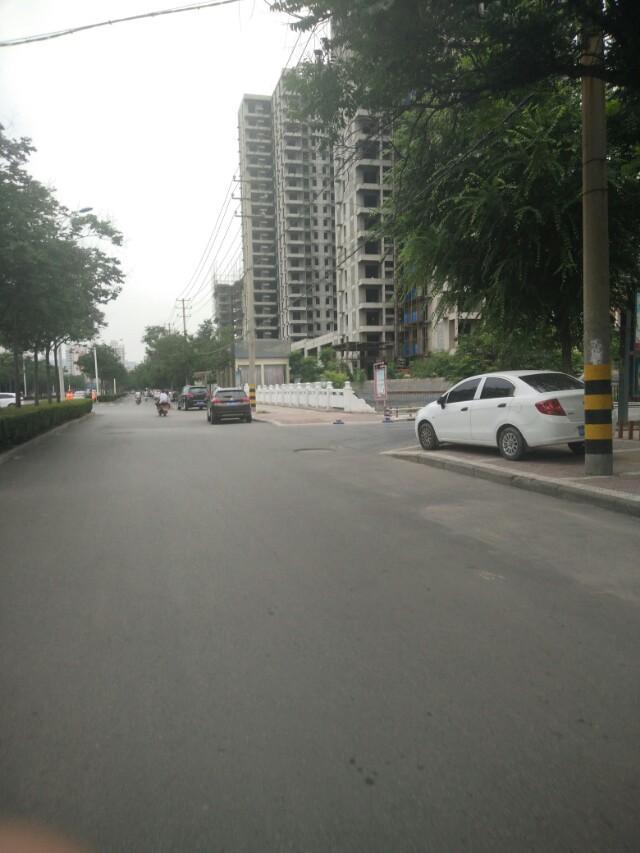 远景-我的车很漂亮的！不是吗？