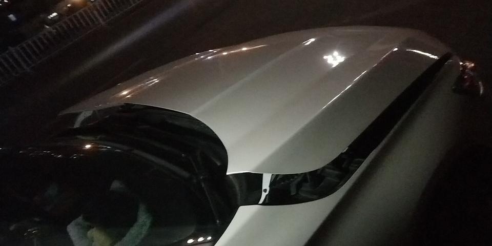 我的十代雅阁撞到了一个狗，前置引擎盖被弹开，启动了安全装置，请问有没有发生同样事的朋友，求告知，需要花多少钱可以修好！感谢各路英雄！！！