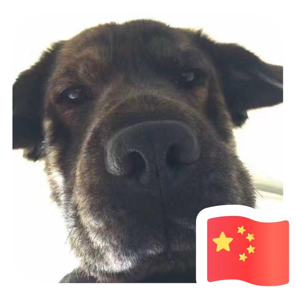 等炮的第33天

你们都啥时候订的，啥时候到的。留下地区！！
我就看看哪个地最不靠谱。我是山东东营，滨州订的车