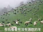 途铠-1.5l舒适版全款落地大概多少钱？